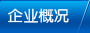 企業(yè)概況